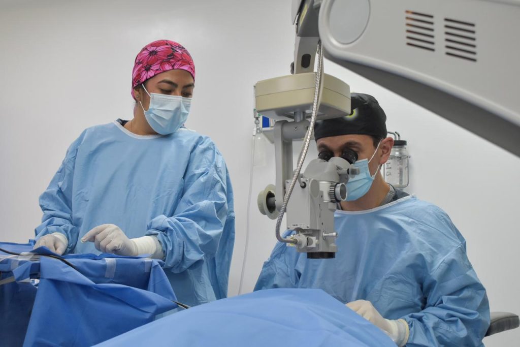 WhatsApp Image 2026 02 12 at 2.36.01 PM