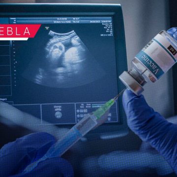 Vacunación contra el sarampión en Puebla: ¿Quiénes deben aplicársela y por qué se restringe en el embarazo? 