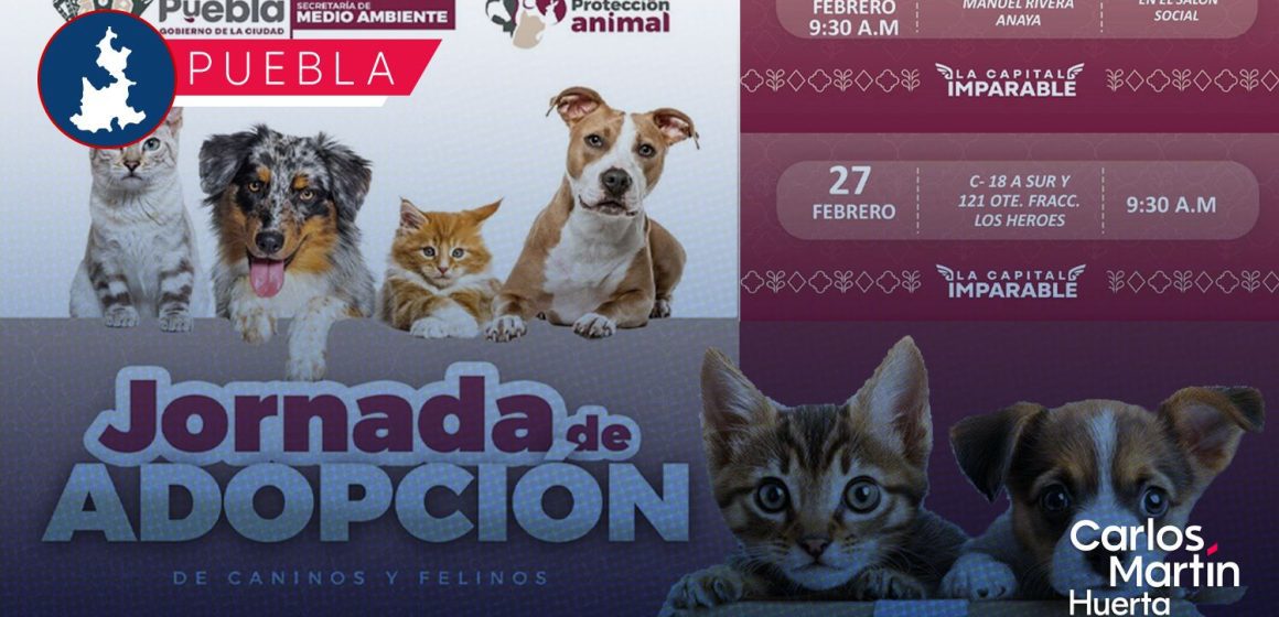 WhatsApp Image 2026-02-25 at 12.57.13 PM ¡Dales un hogar! Puebla anuncia jornadas de adopción de perros y gatos: Fechas, sedes y requisitos