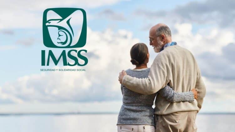 pension imss