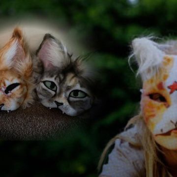 Diputado Roberto Zataraín llama al respeto hacia los “therians” y pide apoyo psicológico