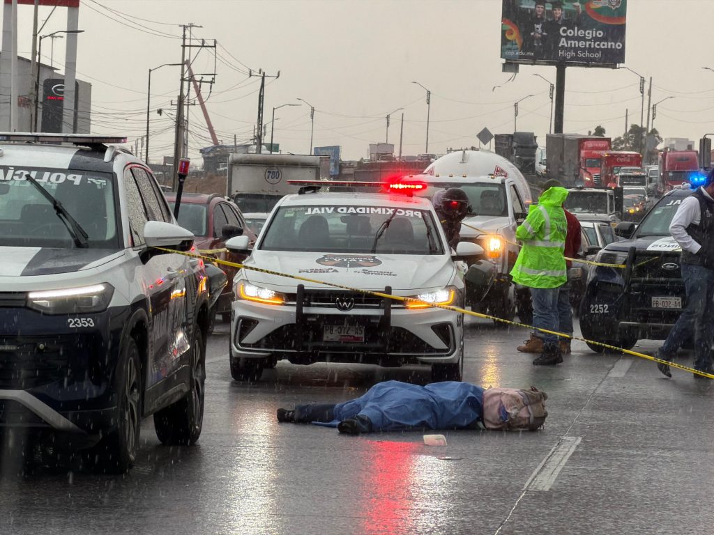 7469f677 f51b 4813 aba2 02ef634429c8