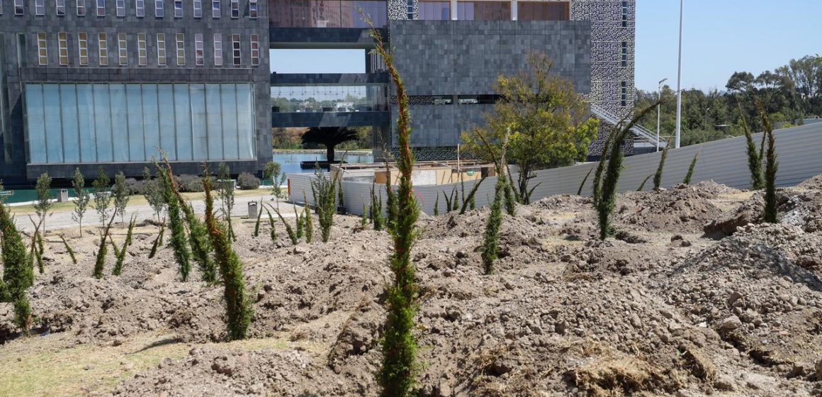 Inicia reforestación urbana en CIS y Parque Ecológico; la meta son 10 mil árboles