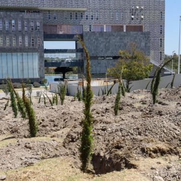 AA_2802_3_(6) Inicia reforestación urbana en CIS y Parque Ecológico; la meta son 10 mil árboles