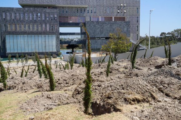 Inicia reforestación urbana en CIS y Parque Ecológico; la meta son 10 mil árboles