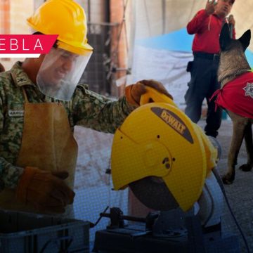 Anuncian Feria de la Paz y Capacitación en la Sierra Norte