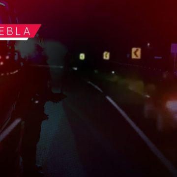 Asaltan a familia en falso retén de la autopista Puebla-Orizaba; les roban 58 mil pesos
