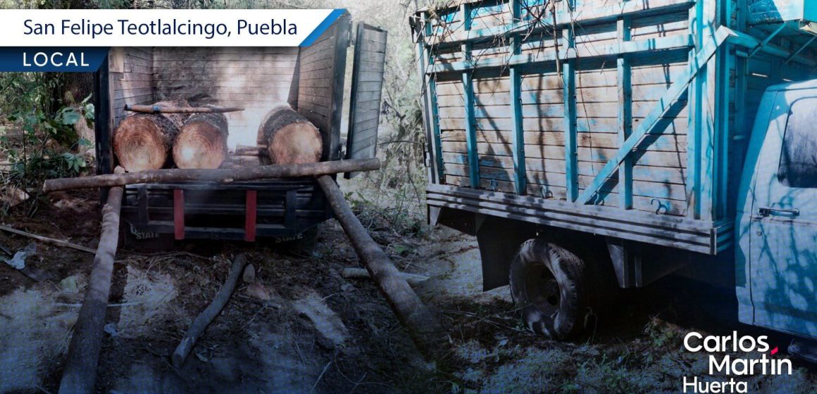 Marina y Policía Forestal aseguran madera ilegal en San Felipe Teotlalcingo