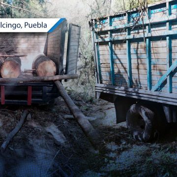 Marina y Policía Forestal aseguran madera ilegal en San Felipe Teotlalcingo