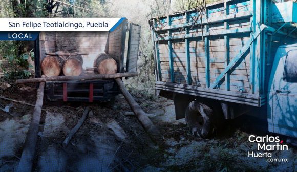 Marina y Policía Forestal aseguran madera ilegal en San Felipe Teotlalcingo