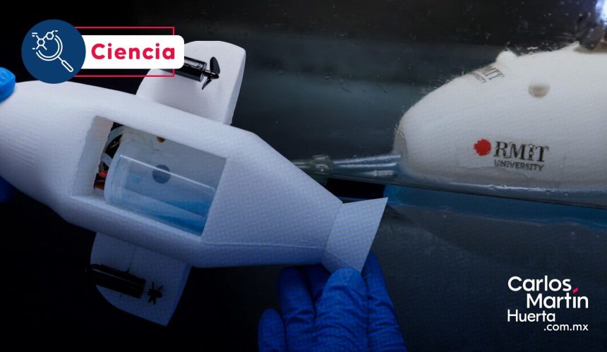 Australia fabrica un robot-delfín para prevenir desastres ambientales Australia fabrica un robot-delfín para prevenir desastres ambientales