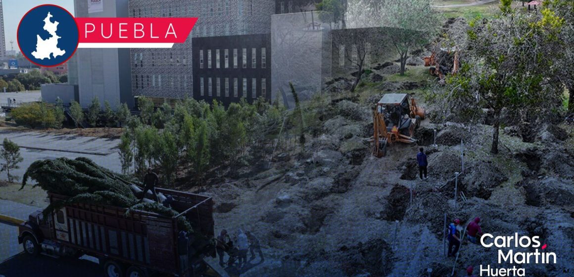 Bosque urbano en CIS y Parque Ecológico se fortalece con 2 mil nuevos árboles