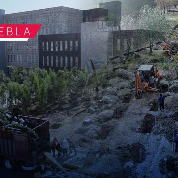 Bosque urbano en CIS y Parque Ecológico se fortalece con 2 mil nuevos árboles