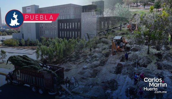 Bosque urbano en CIS y Parque Ecológico se fortalece con 2 mil nuevos árboles Bosque urbano en CIS y Parque Ecológico se fortalece con 2 mil nuevos árboles