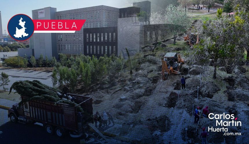 Bosque urbano en CIS y Parque Ecológico se fortalece con 2 mil nuevos árboles