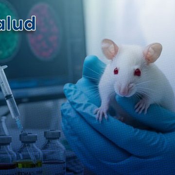 Científicos logran curar la diabetes tipo 1 en ratones sin utilizar insulina