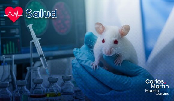 Científicos logran curar la diabetes tipo 1 en ratones sin utilizar insulina