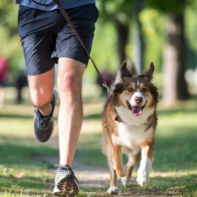 Convocan a la Caminata de Modo Saludable 2026 3