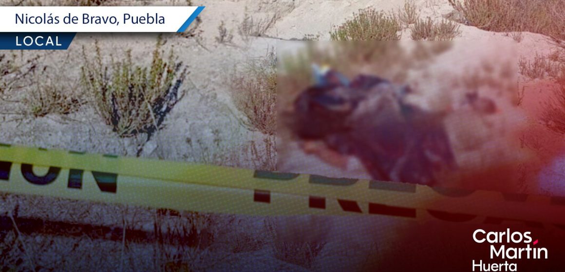 Hallan tres cuerpos semiembolsados y con signos de tortura en Nicolás Bravo