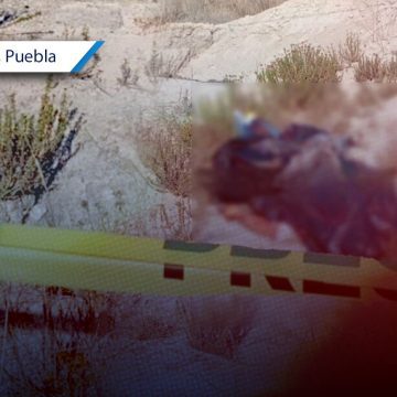 Cuerpos semiembolsados Nicolás Bravo Hallan tres cuerpos semiembolsados y con signos de tortura en Nicolás Bravo