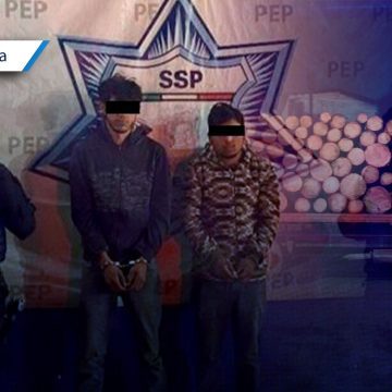 Detienen a dos hombres por tala ilegal en Teziutlán