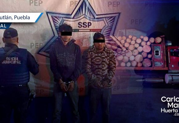 Detienen a dos hombres por tala ilegal en Teziutlán