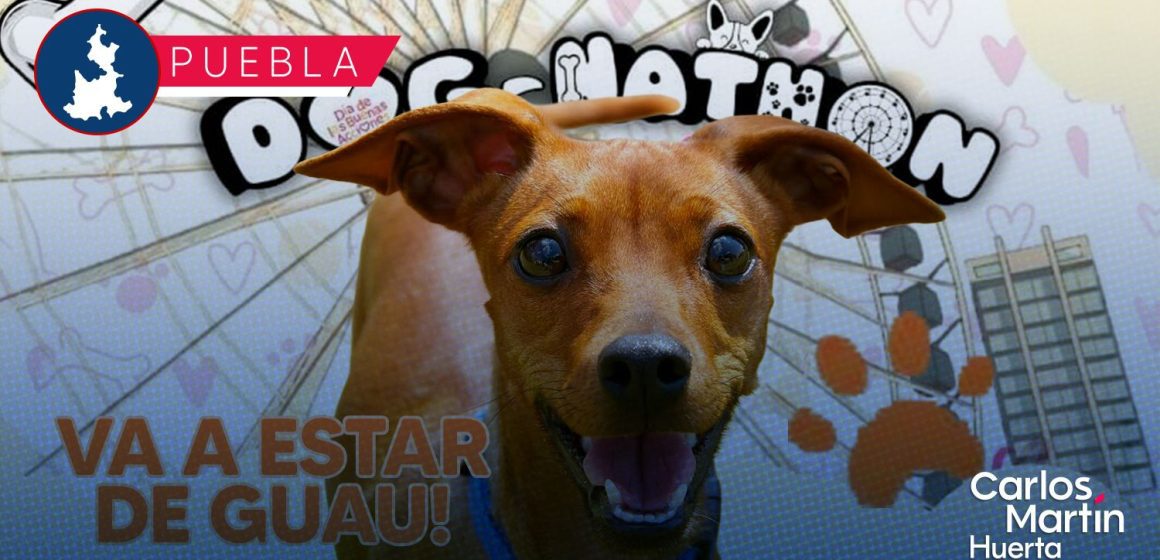 Dog-Nathon 2026: Fecha, sede y actividades en Puebla