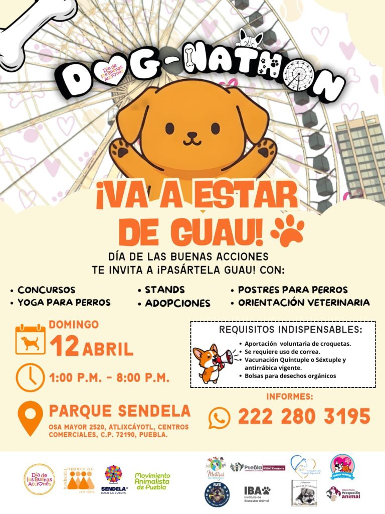Dog-Nathon 2026: Fecha, sede y actividades en Puebla
