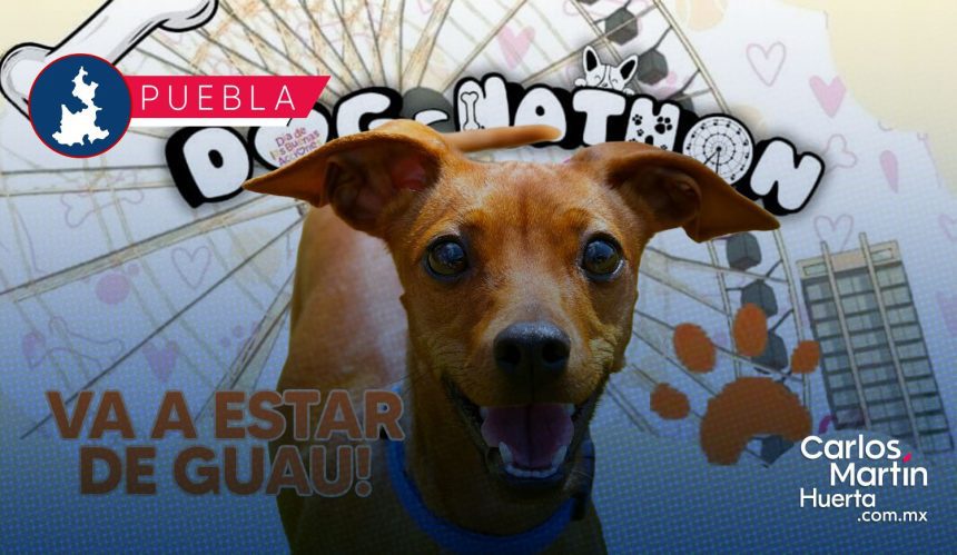 Dog-Nathon 2026: Fecha, sede y actividades en Puebla