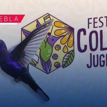 Festival Colibrí 2026: Arte y espectáculos gratuitos en el Centro Cultural San Roque