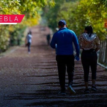 IBA impulsa tenencia responsable en “Caninata” en Parque Ecológico IBA impulsa tenencia responsable en “Caninata” en Parque Ecológico