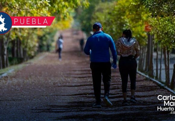 IBA impulsa tenencia responsable en “Caninata” en Parque Ecológico IBA impulsa tenencia responsable en “Caninata” en Parque Ecológico