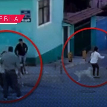 Mujer - perros San Jerónimo Caleras Mujer es atacada por defender perros en San Jerónimo Caleras