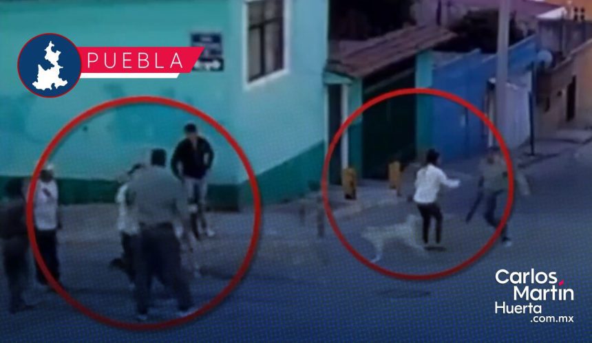 Mujer es atacada por defender perros en San Jerónimo Caleras