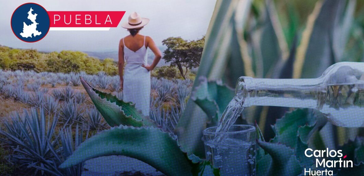 Mujeres mezcaleras anuncian verbena cultural en el marco del 8M