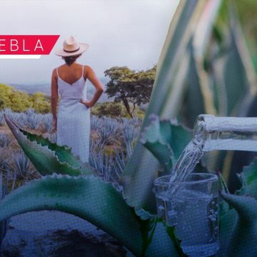 Mujeres mezcaleras anuncian verbena cultural en el marco del 8M