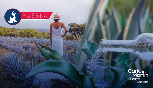 Mujeres mezcaleras anuncian verbena cultural en el marco del 8M Mujeres mezcaleras anuncian verbena cultural en el marco del 8M