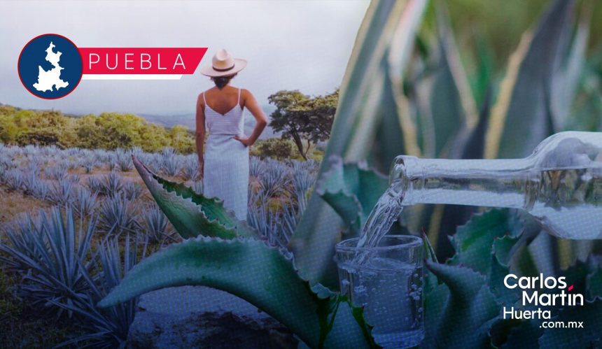 Mujeres mezcaleras anuncian verbena cultural en el marco del 8M