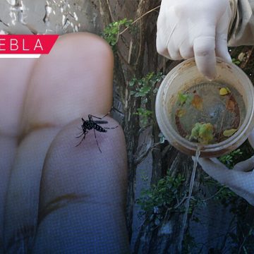 Cierra en Puebla la Jornada Nacional contra el Dengue y Chikungunya: Limpia tu hogar este fin de semana