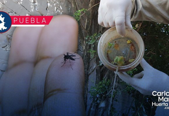 Cierra en Puebla la Jornada Nacional contra el Dengue y Chikungunya: Limpia tu hogar este fin de semana