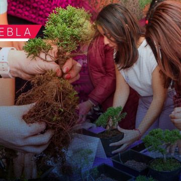 Puebla capital promueve espacios de expresión y análisis en conmemoración del 8M