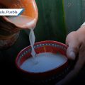 San Pedro Cholula será sede del foro “Pulque, tesoro sagrado de la naturaleza y cultura”