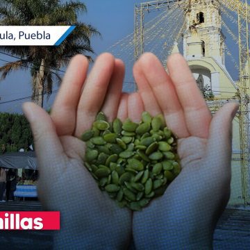 Santa Isabel Cholula celebró la 5ª Feria de Semillas