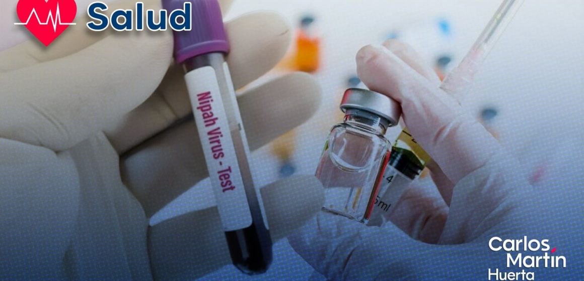 Vacuna contra el virus Nipah: Japón iniciará ensayos clínicos en humanos