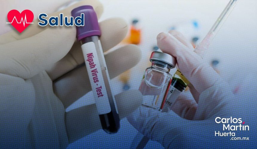 Vacuna contra el virus Nipah: Japón iniciará ensayos clínicos en humanos