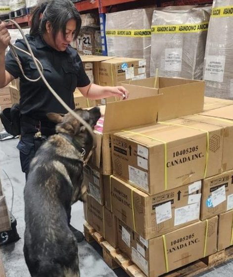 Marina incauta más de 22 mil vapeadores en el AICM