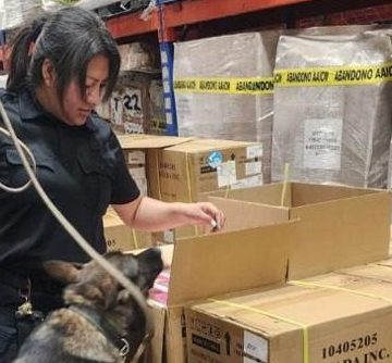 Marina incauta más de 22 mil vapeadores en el AICM