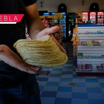 Precio de la tortilla podría aumentar de prohibirse su venta en tiendas de Puebla: ANPEC