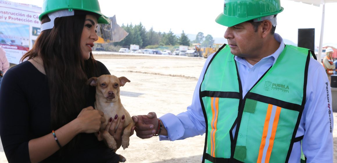 Condena gobierno estatal ataque a una mujer que defendía a seres sintientes