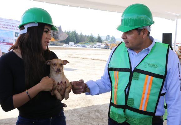Condena gobierno estatal ataque a una mujer que defendía a seres sintientes